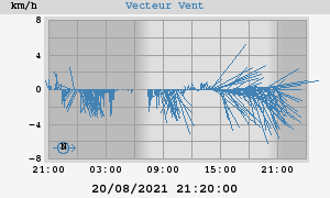 Wind Vector