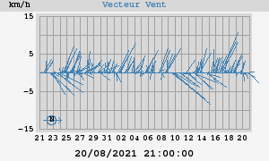 Wind Vector